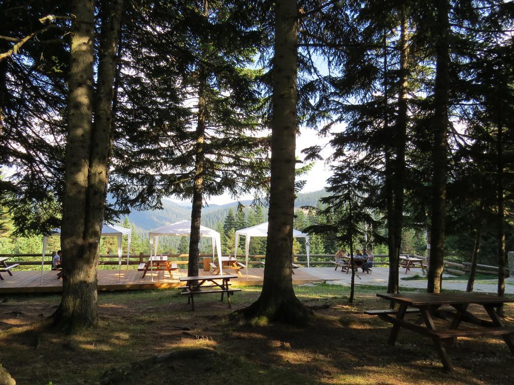 Jura Hotels Ilgaz Mountain Resort Eksteriør bilde