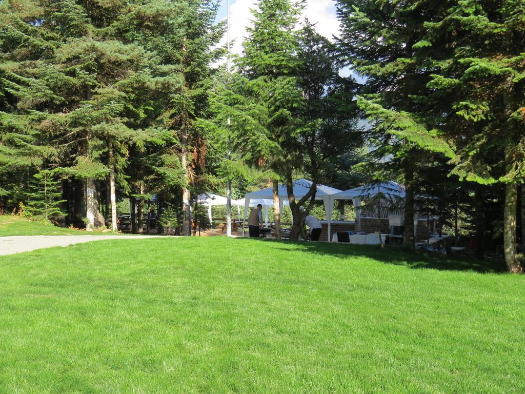 Jura Hotels Ilgaz Mountain Resort Eksteriør bilde