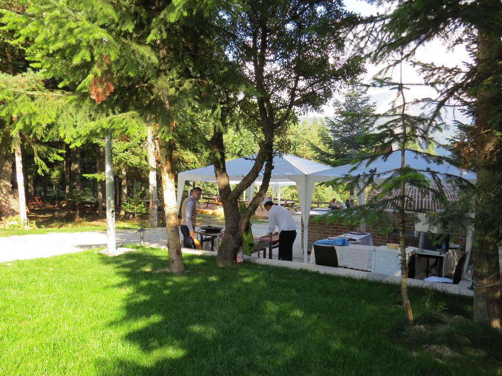 Jura Hotels Ilgaz Mountain Resort Eksteriør bilde