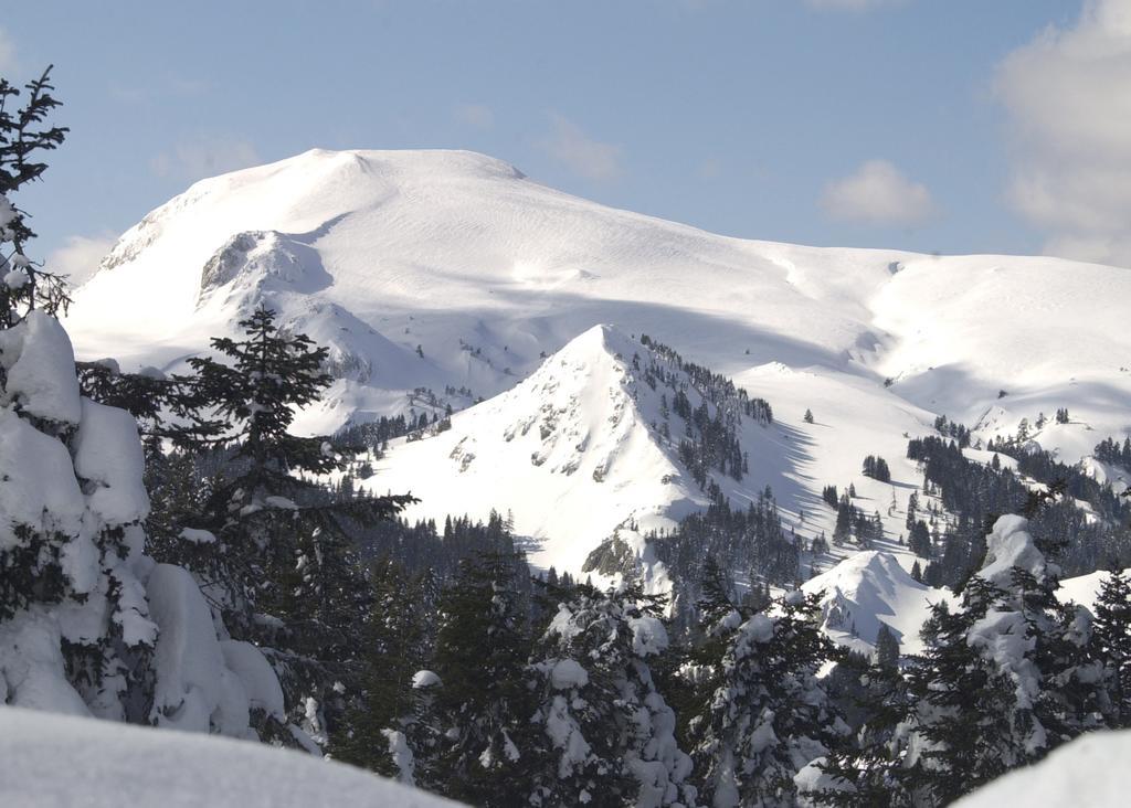 Jura Hotels Ilgaz Mountain Resort Eksteriør bilde