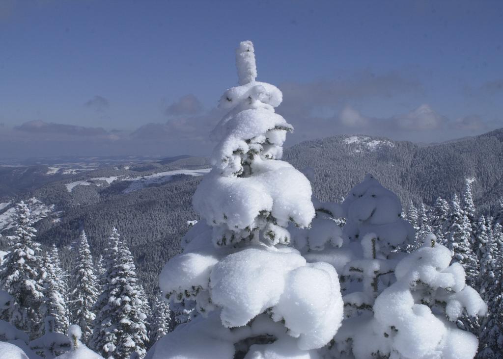 Jura Hotels Ilgaz Mountain Resort Eksteriør bilde
