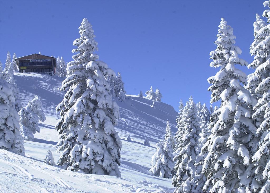 Jura Hotels Ilgaz Mountain Resort Eksteriør bilde