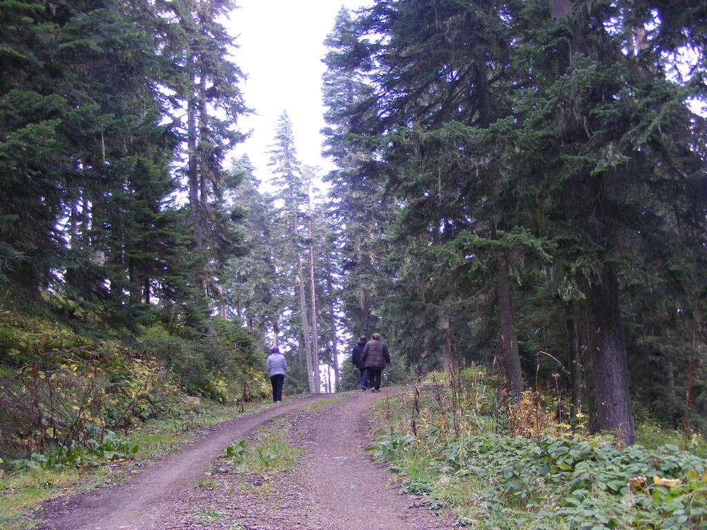 Jura Hotels Ilgaz Mountain Resort Eksteriør bilde