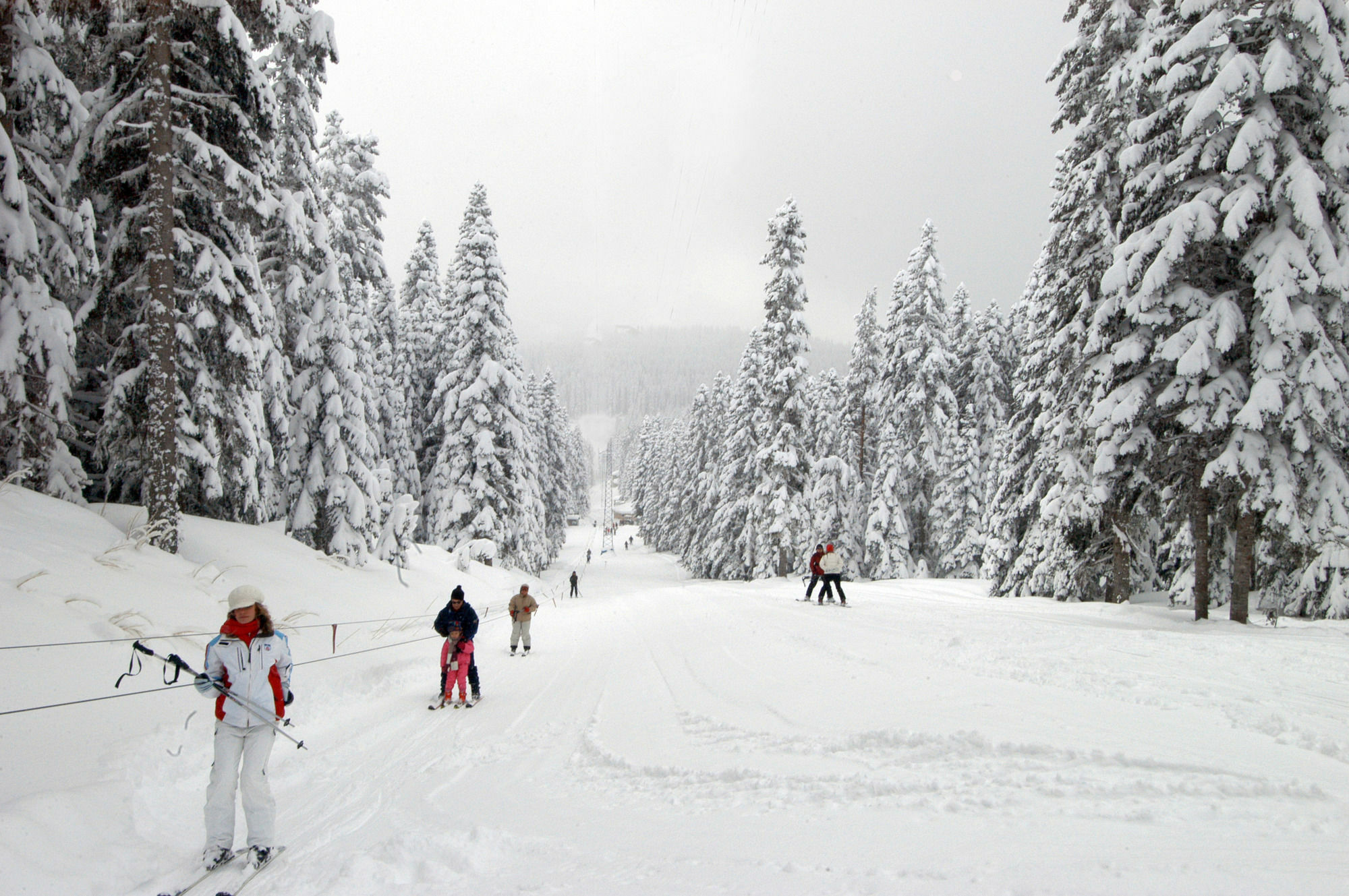 Jura Hotels Ilgaz Mountain Resort Eksteriør bilde